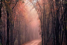 克罗地亚vs巴西的比赛有哪些精彩回放瞬间?