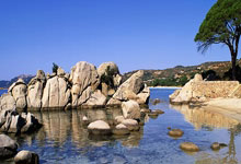 搜狐国际足球能为球迷带来哪些独特观赛体验？